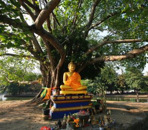 Buddha under the Bodhi Tree