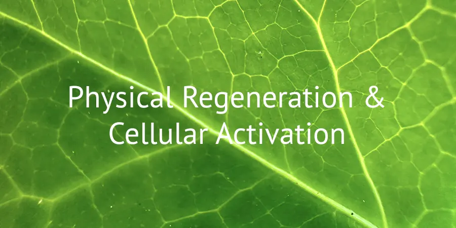 Physical Regeneration & Cellular Activation